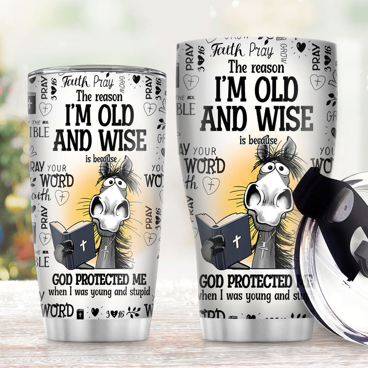 I'm Old And Wise Quote - Stainless Steel Tumbler - Gift for Loved One