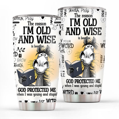 I'm Old And Wise Quote - Stainless Steel Tumbler - Gift for Loved One