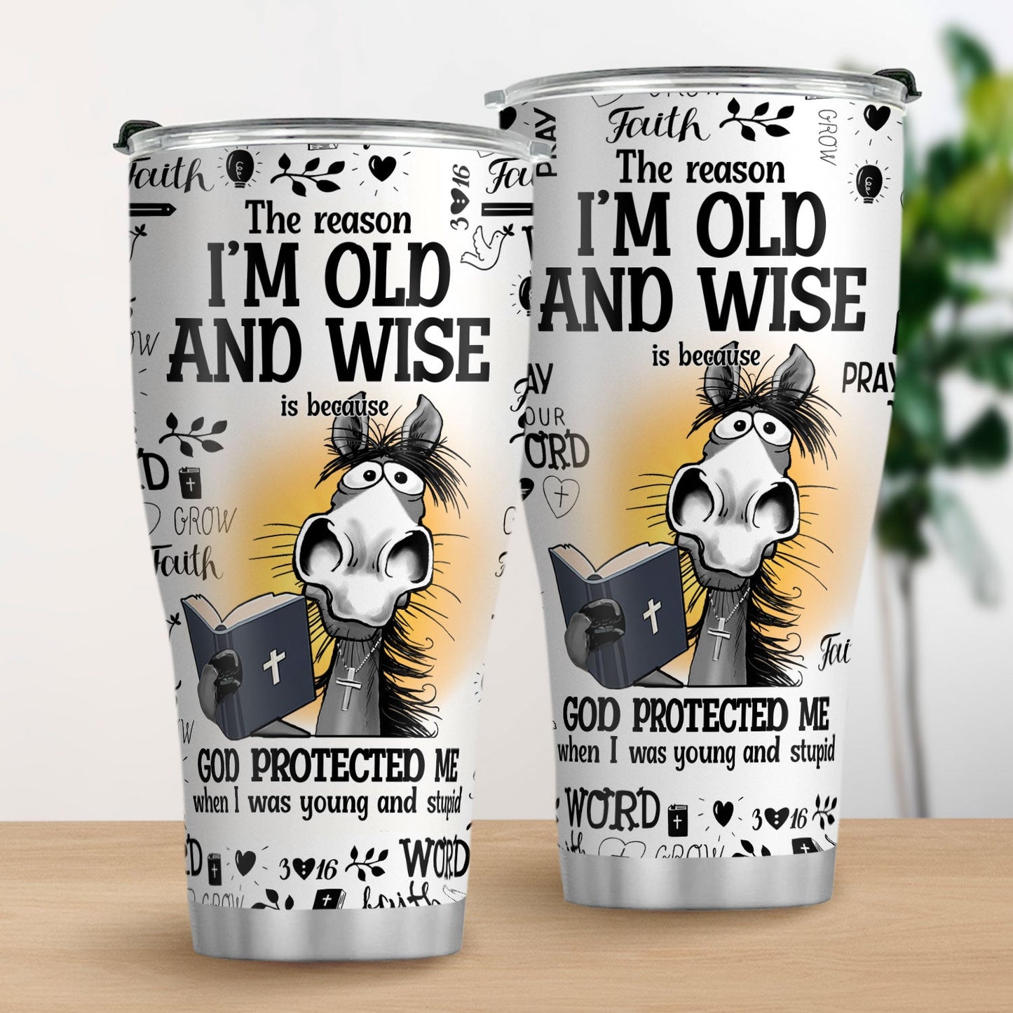 I'm Old And Wise Quote - Stainless Steel Tumbler - Gift for Loved One